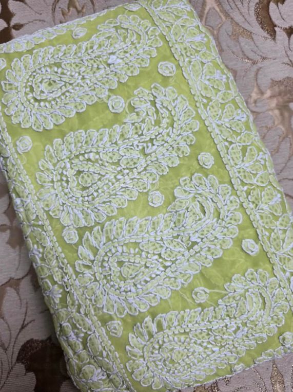 Sage Green Chiffon Full Jaal Lucknowi Chikankari Saree
