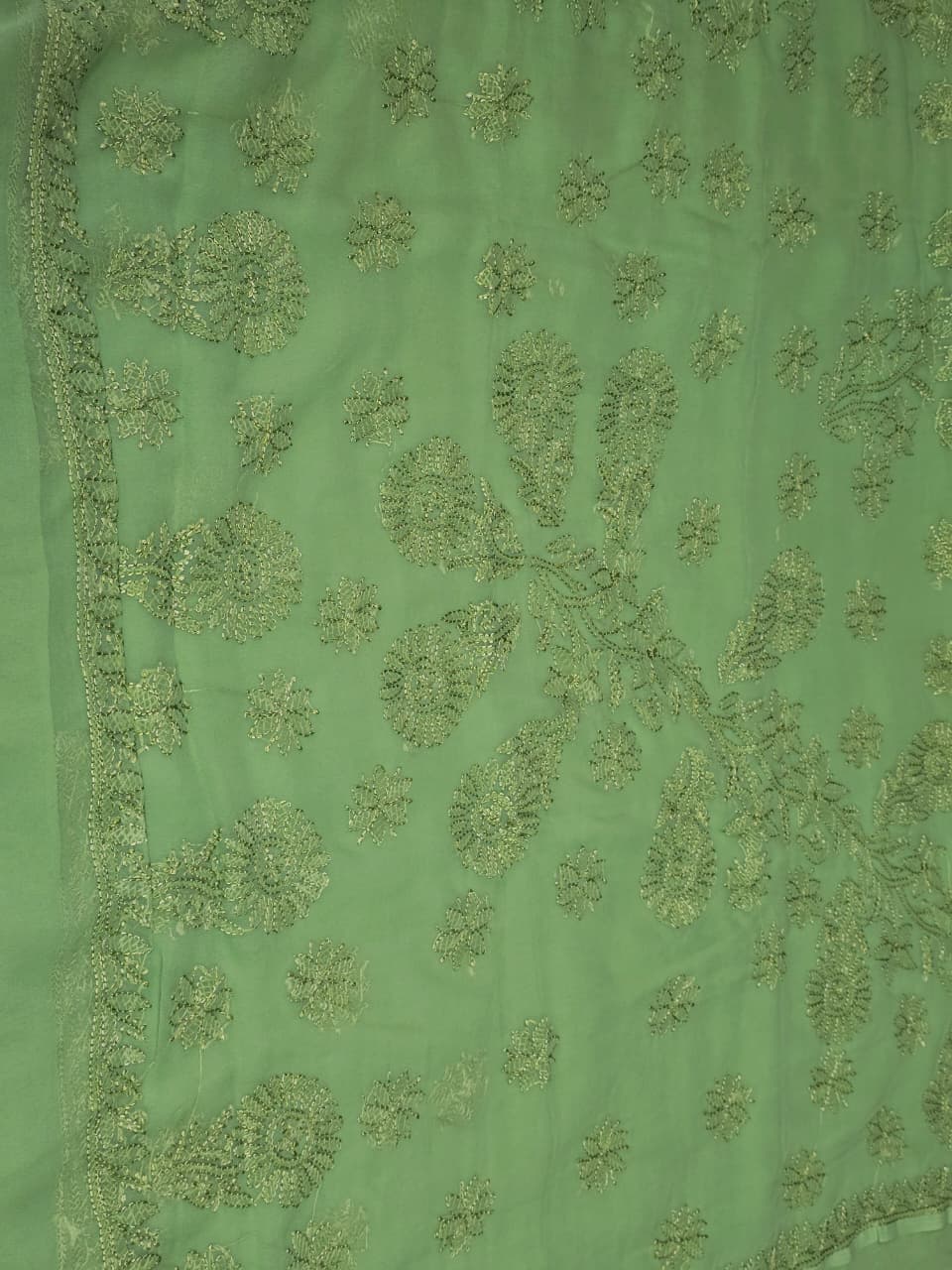 Fern Green Chiffon Monochromatic Resham Thread Chikankari Saree