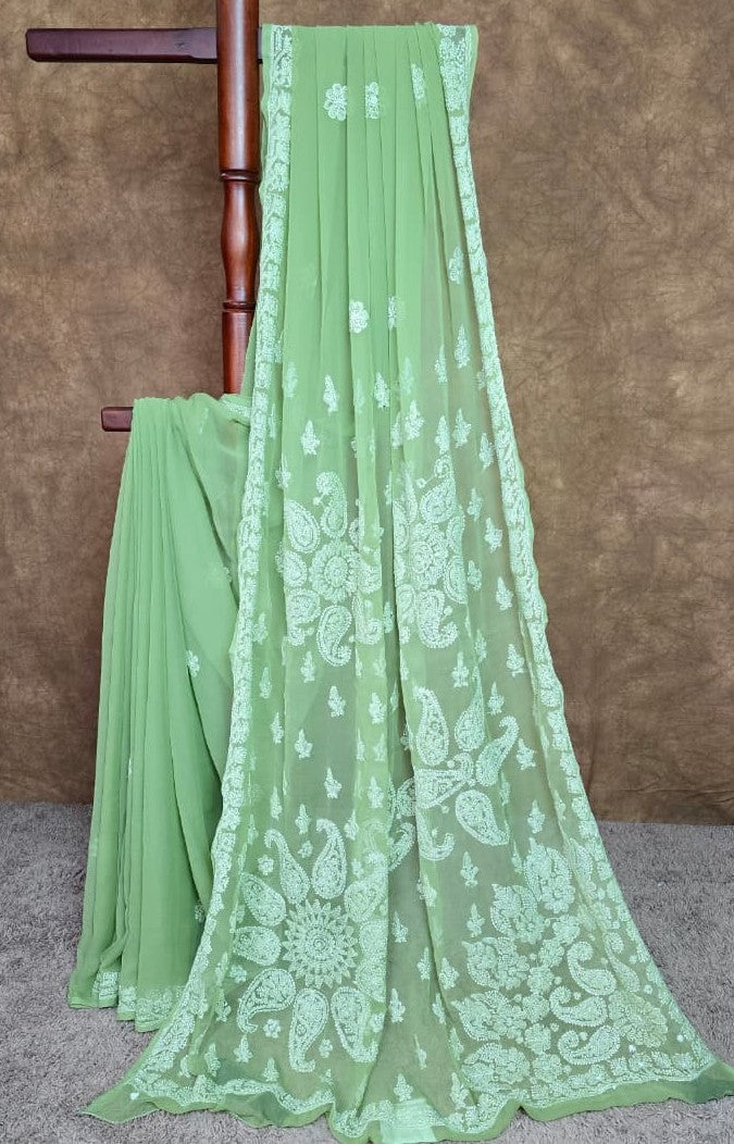 Spring Meadow Green Chiffon Saree with Resham Thread Chikankari