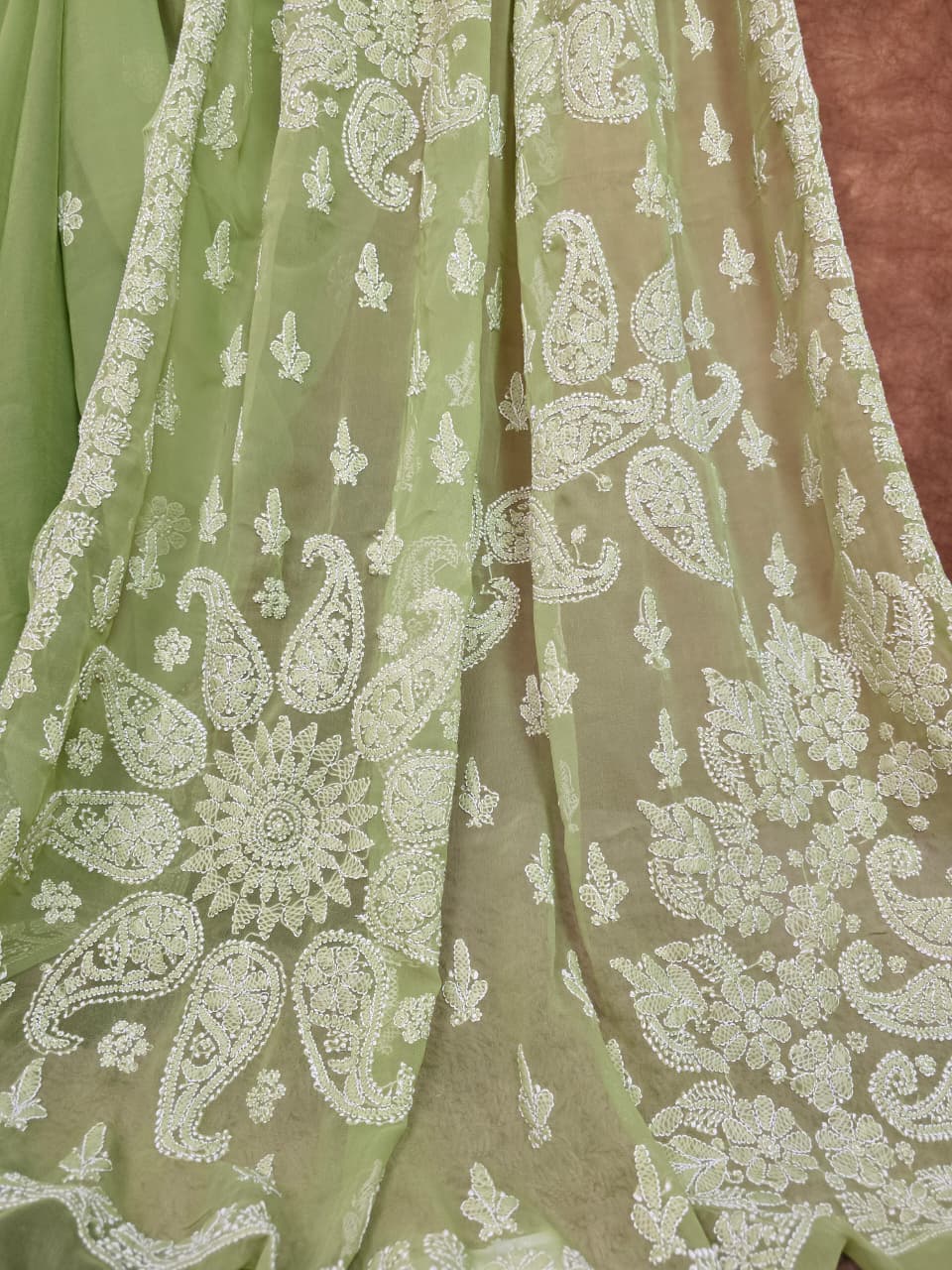 Spring Meadow Green Chiffon Saree with Resham Thread Chikankari
