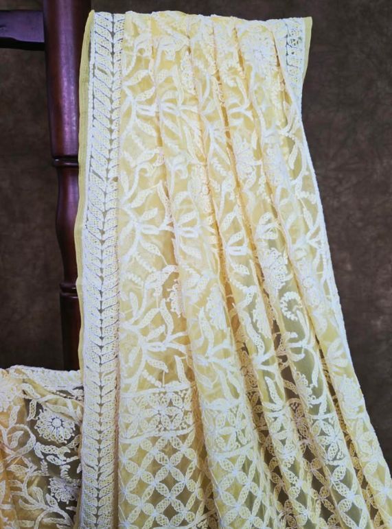 Pollen Yellow Chiffon Saree with Full Jaal Chikankari