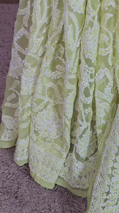 Sage Green Chiffon Full Jaal Lucknowi Chikankari Saree