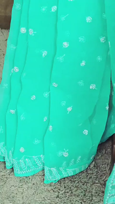 Sea Green resham thread chikankari saree video
