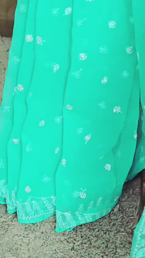 Sea Green resham thread chikankari saree video