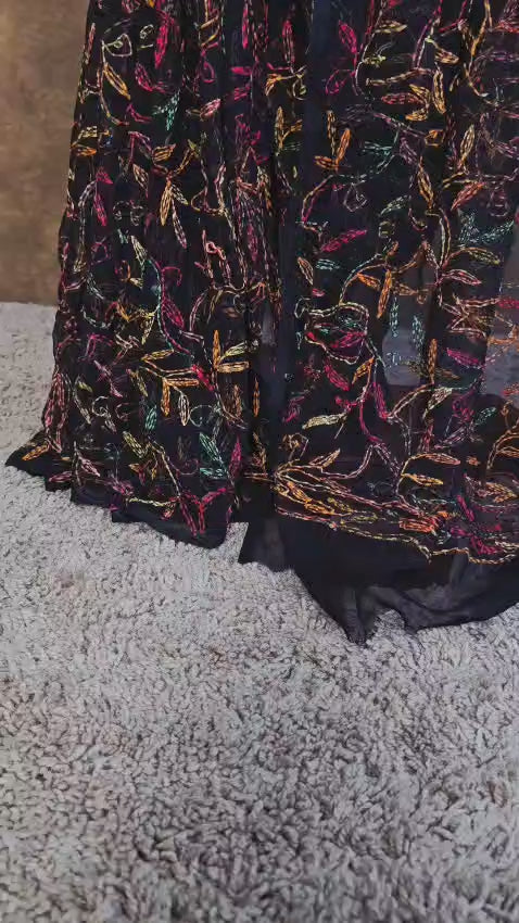 Black Beauty Tepchi Chikankari Saree with Multi-Colour Hand Embroidery